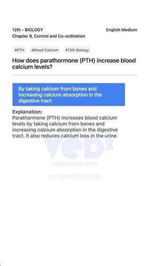 How PTH Increases Blood Calcium Levels 12th Biology