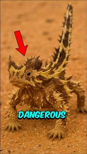 Top 3 Desert Monsters That Actually Exist! 😱