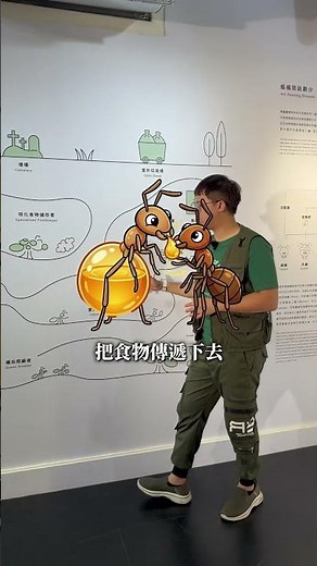 螞蟻藥為什麼無效？螞蟻怎麼都殺不死？原來是螞蟻經歷億萬年演化的生存機制！台灣螞蟻王 螞蟻帝國 台灣螞蟻生態博物館