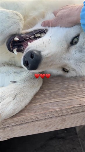 Whispers: Journey to Happiness and Healing