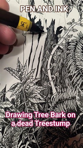 Drawing Tree Bark on a dead Treestump in Pen and Ink