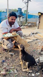 The Voiceless 🐶 depend on our Kindness and Compassion. #dog #dogs #doglover #animals #rescue #feed #foods #adoptdontshop #adopt #adoption #fyp #foryou #explorepage #explore #explorepage✨ #page #trend #trending #trendingnow #trendingreels #reels #indie | Serve Needy