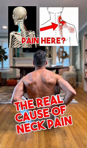 Most people have no clue this tiny neck muscle is the reason their shoulder always hurts, their trap stays tight, and their headaches shoot behind the eye. If you felt that deep “hidden pain” when you hit the spot… congrats, that’s the levator scapula waking up. Free this and your neck loosens, your shoulder blade drops, your posture shifts, and the pressure behind your eye finally releases. Try it — and tell me exactly where you felt it. (Everyone’s different and the comments get wild.) #viral 