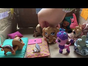 LPS adoption center credits to: LPS sky rocket!