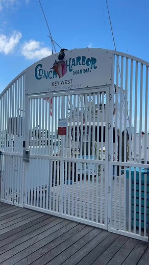 Dante’s good vibes = perfect day 😎 #keywest #keywestflorida #floridakeys #keywestlife #dantes #thefloridakeys | Experience Key West