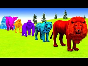 Long Slide Game With Elephant Gorilla Buffalo Hippopotamus Tiger - 3d Animal Game - Funny 3d Animals