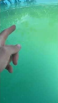 Mach DAS nicht! Dieser Pool Fehler zerstört deine Pumpe und Wasserqualität! #poolpflege #poollab