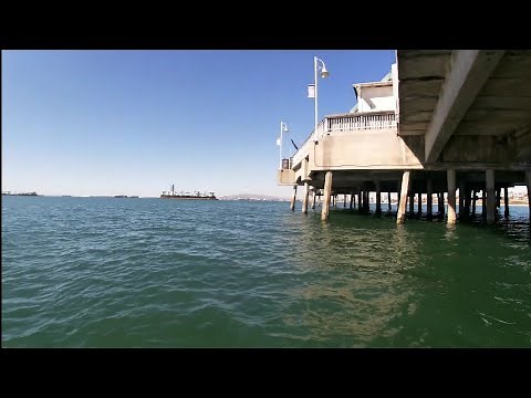 Full Length Underwater Tour of Belmont Veterans Memorial Fishing Pier in Long Beach California