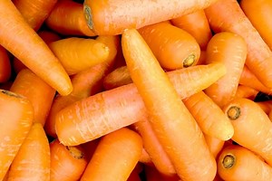 にんじんのぬか漬けの作り方｜下ごしらえと漬け時間の目安