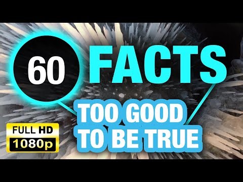 60 Shocking Facts That Will Blow Your Brain!