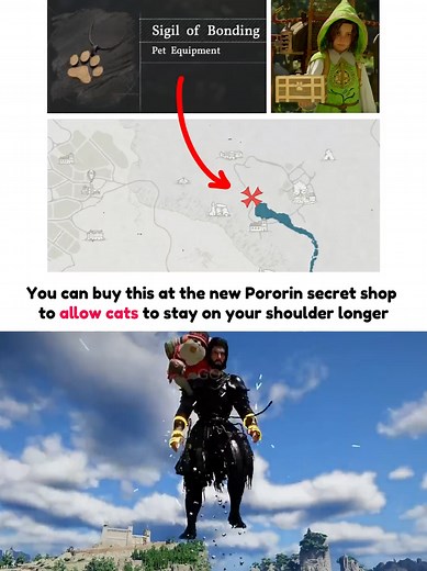 Your cat needs this at the new Pororin secret shop 😅 #crimsondesert #crimsondesertgameplay #openworld #gaming #fyp