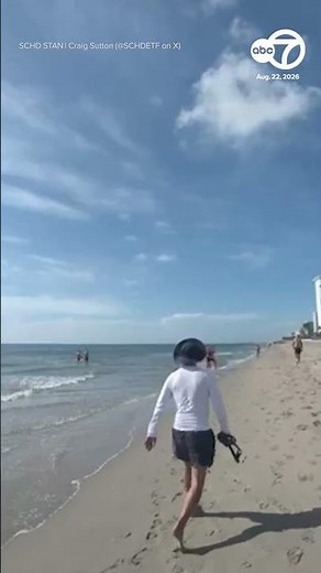 Pilot survives after crashing into water off Florida beach