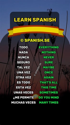 Spanish phrases for beginners 🇪🇸 New to Spanish? Subscribe and level up quickly! . . . . #spanish #español #spain #learning #learnspanish #language | Spanish.se