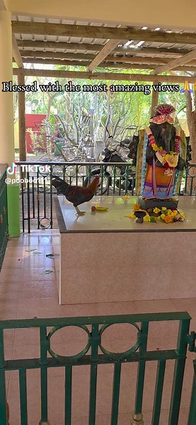 Discovering Peace at Point Le Scar Spiritual Park