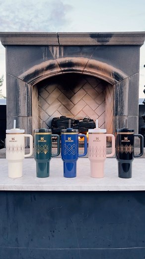 69K views · 97 reactions | Stanley on Reels | Facebook