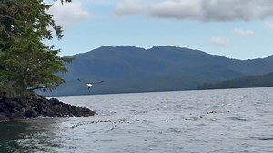 Waterfall Resort Alaska on Reels