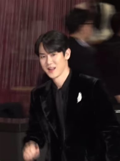 SBS Ent Awards 2025: Stunning Looks by Yoo Yeon Seok