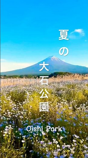 【富士山・河口湖】富士山と絶景グルメ！大石公園の魅力を解説！ #アウトドア #山梨 #観光