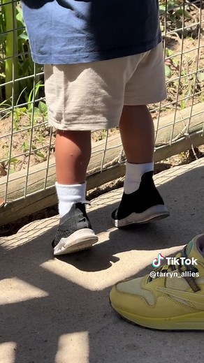 Discover Giraffe House: A Family Adventure in Stellenbosch