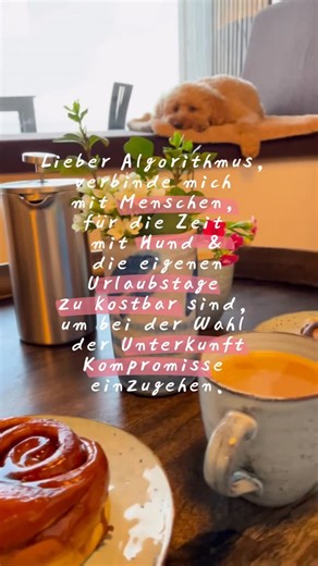 Java Minidoodle & Hundetrainerin Alina on Instagram: "Zeit mit Hund ist kostbar. Und Urlaubstage auch. Deshalb geht es nicht darum, ob Hunde irgendwo erlaubt sind, sondern darum, wie sich ein Ort anfühlt für Hund und Mensch 🐶🌿 Genau deshalb gibt es den Java-Index. Hi, ich bin Alina, zertifizierte Hundetrainerin und habe Hotelmanagement in Frankreich studiert. Durch meine Zeit in der Luxushotellerie an der Côte d’Azur habe ich gelernt, wie viel hinter einem wirklich guten Aufenthalt steckt von 