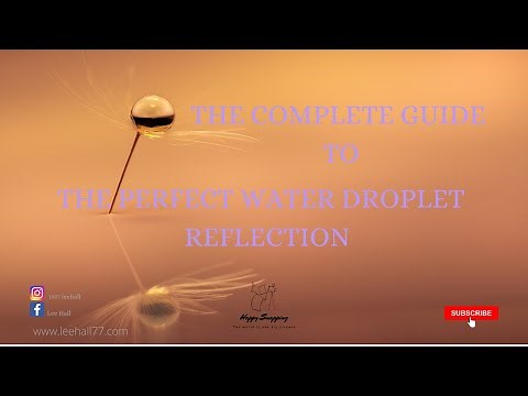 How to do dandelion water droplet photography.