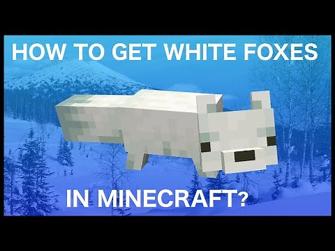 How to Get White Foxes in Minecraft?