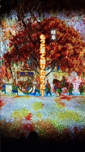 絶景の光の祭典！岐阜公園、ぎふ灯り物語開催中！
