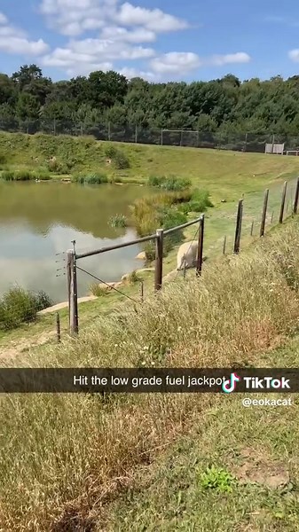 Creating Furnaces in Rust: A Step-by-Step Guide