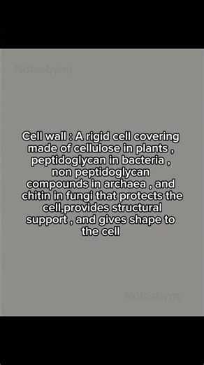 The Cell Wall Explained! 🧱 | Biology Basics for Kids & Students #Shorts