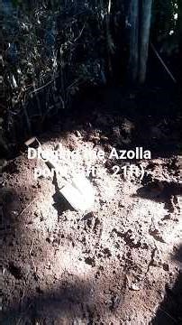Azolla Pond Preparation | Digging a 4ft by 25ft Pond Step by Step