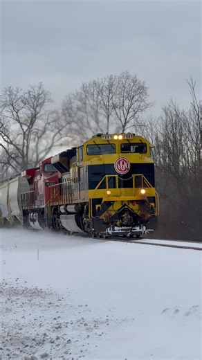 NS 1069 “Virginian” Leads 310! #railroad #train #railfan