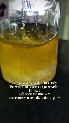 glycerol and media #viral #youtubeshorts #experiment #microbiology lab work