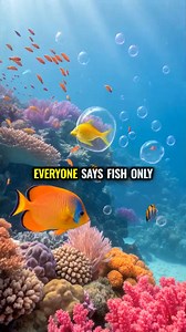 The 3-second fish memory myth has been debunked by scientific studies showing fish can actually remember things for months or years. Some can even recognize specific humans and avoid lures that previously caught them. #fishing #fishmemory #ai | BAITCAMP