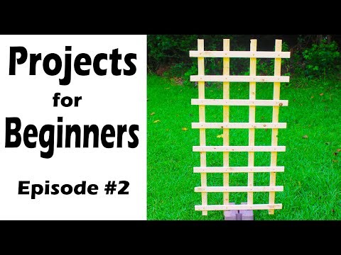 3 Awesome Projects for Beginners (episode 2)