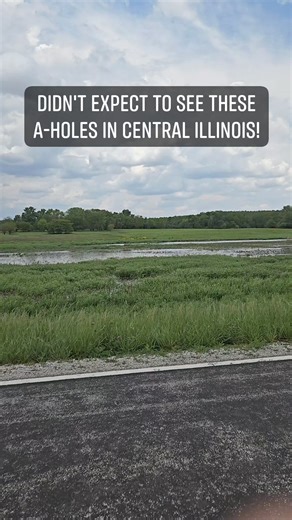 24K views · 38 reactions | But there they are! #dripfishcoffee #coffee #birds #migration #sandhillcrane #nature | Dripfish Coffee | Facebook