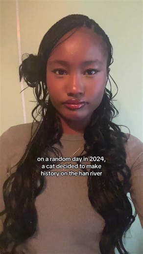 in all seriousness why was it on the news😭😭hope the cat is somewhere safe and warm cuz it carried the industry for a little bit #kpopfypシ #kbs #kpop #viral