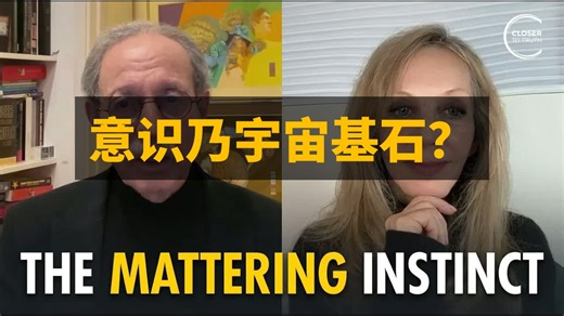 意识是宇宙的基本构成要素吗？| 瑞贝卡·纽伯格·戈尔茨坦 | 双语
