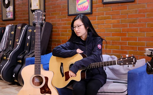 这琴怎么就这么香呢？泰勒Taylor 214ce vs 214ce-CF DLX_哔哩哔哩_bilibili