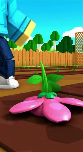 Why did he do that 💀