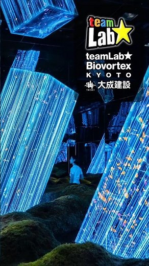 東京まで行かなくても体験できる✨国内最大のチームラボのミュージアムが京都に！