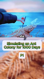 1000 Day Ant Colony Simulation: Dr. Plants Terrarium