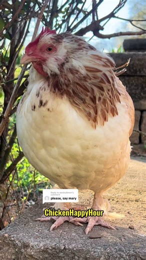 Where's Mary? Ethel is Calling You Now! Find Out What Happened!