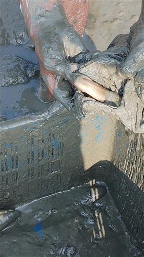 The Giant Prawn Hunter: Using a 'Chai' Bamboo Trap for Big Prawns!​