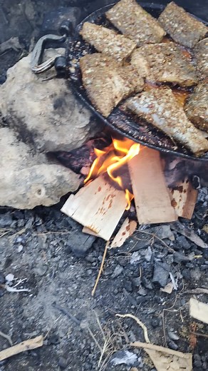 Outdoor Cooking: Campfire Fish Recipe