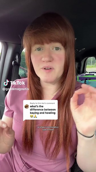 Baying vs Howling: Understanding Dog Noises