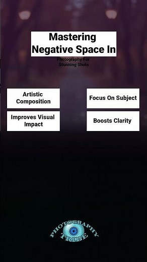 Mastering Negative Space in Photography for Stunning Shots