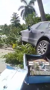 11K views | JTV Channel 55 on Reels | Facebook