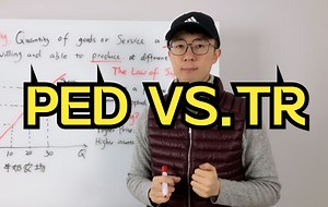 PED and Total Revenue-PED和总收入之间的关系