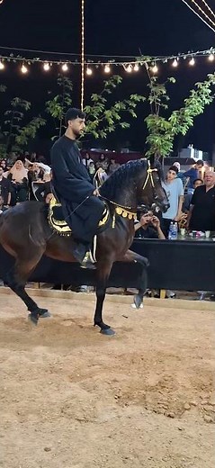 رقص خيل مؤمن البيطار