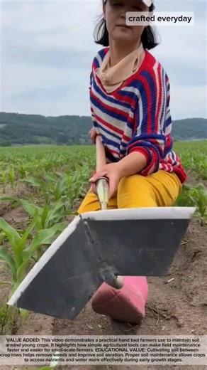 Simple Farm Tool for Efficient Soil Cultivation Between Crop Rows #farming